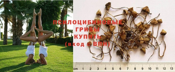 кокс Алексеевка