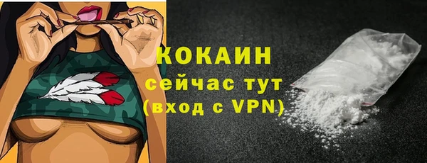 кокс Алексеевка